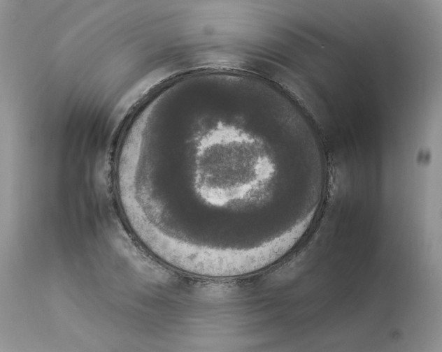 X0000112851074200909111440