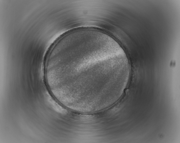 X0000112851076200909111440