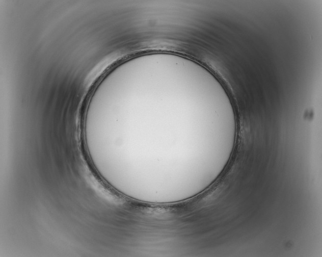 X0000112851082200909111440