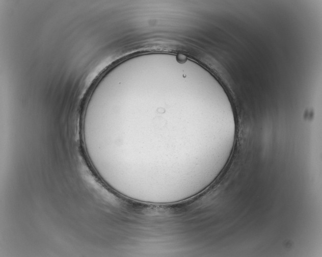 X0000112851083200909111440