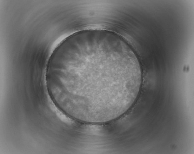 X0000112851086200909111440