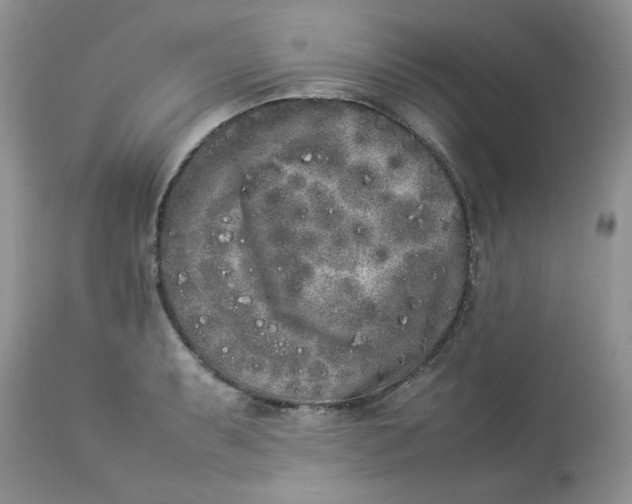 X0000112851087200909111440