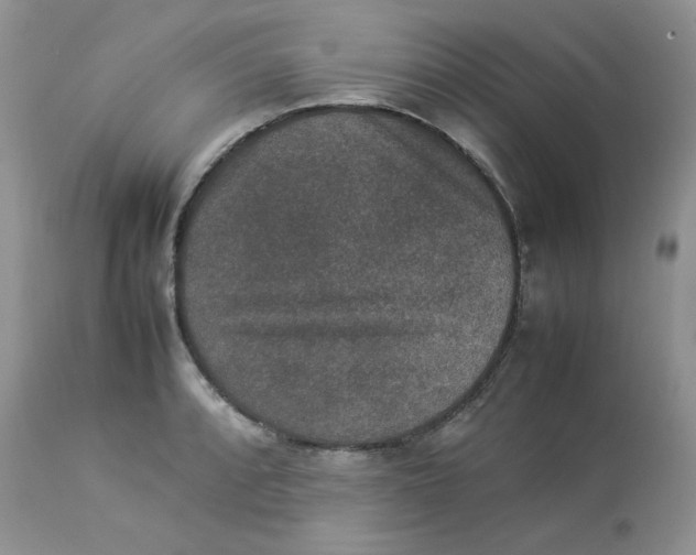 X0000112851088200909111440