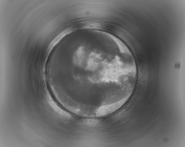 X0000112851090200909111440