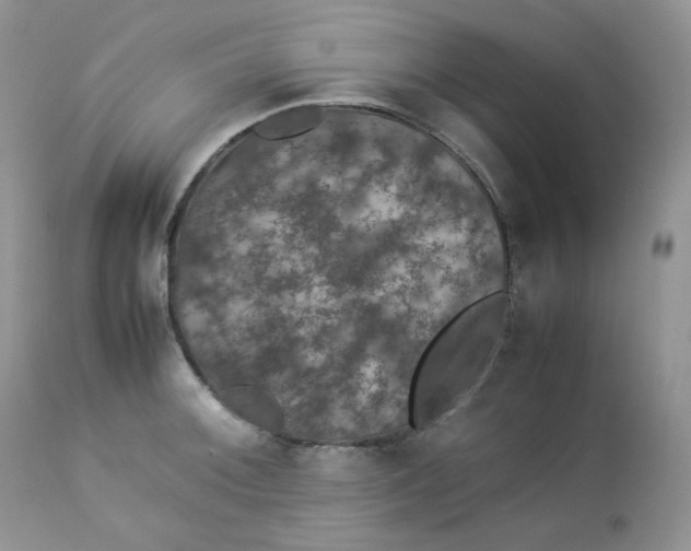 X0000112851092200909111440