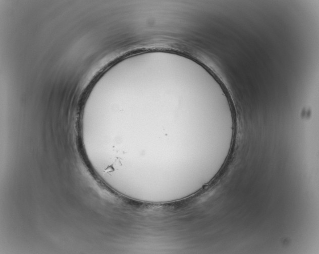 X0000112851093200909111440