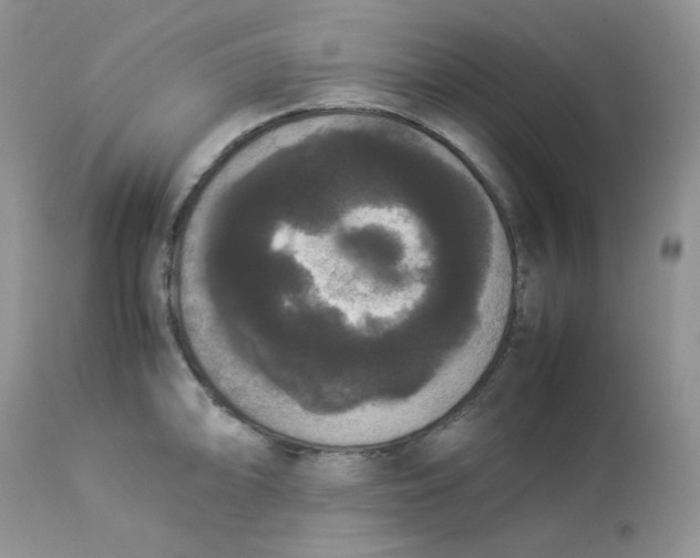 X0000112851094200909111440