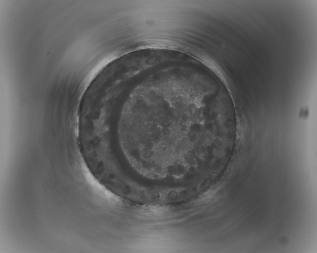 X0000112851095200909111440