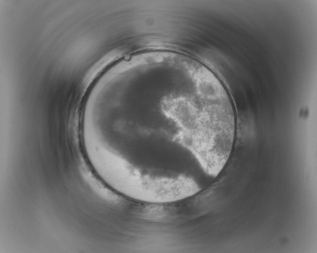 X0000112851098200909111440