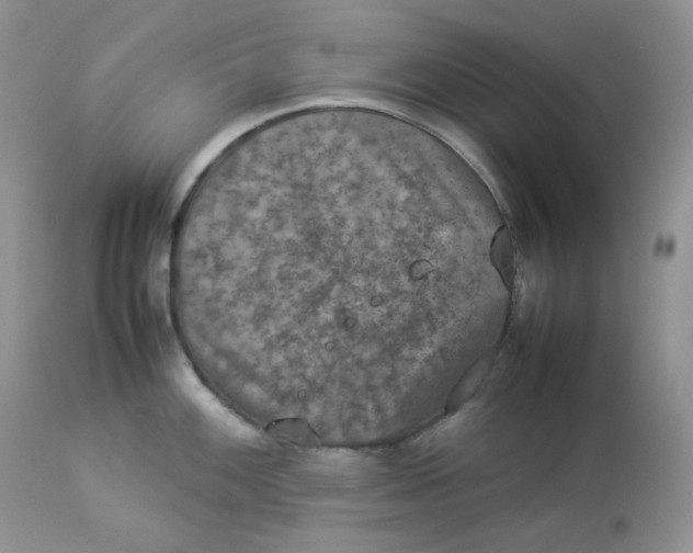 X0000112851100200909111440