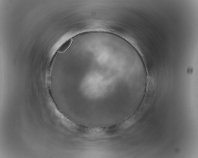 X0000112851101200909111440