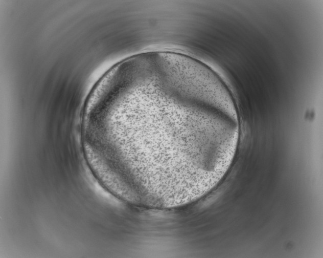 X0000112851102200909111440