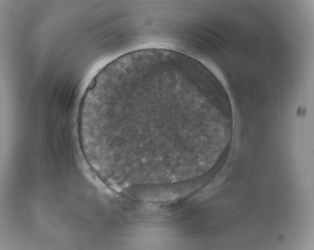 X0000112851104200909111440