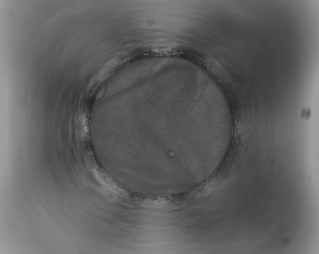 X0000112851106200909111439