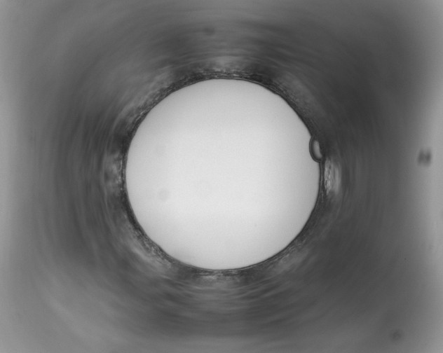 X0000112851107200909111439