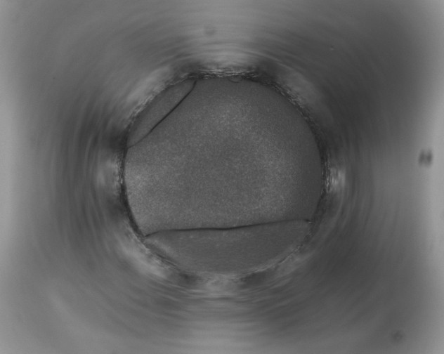 X0000112851108200909111439