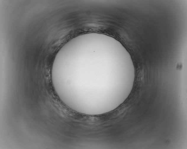 X0000112851109200909111439