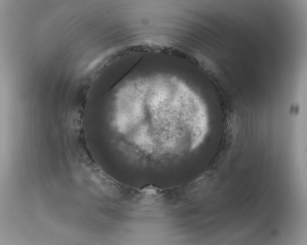 X0000112851110200909111439