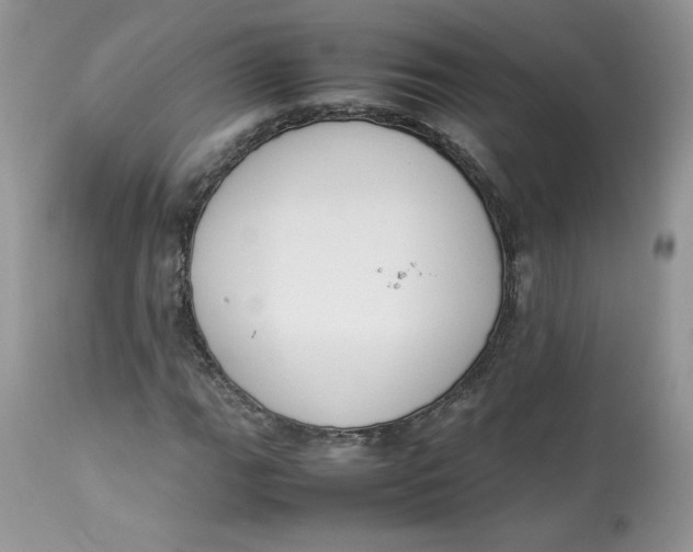 X0000112851111200909111439