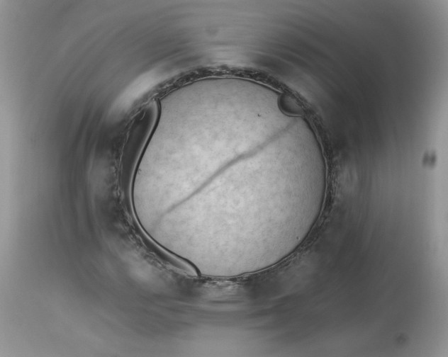 X0000112851112200909111439