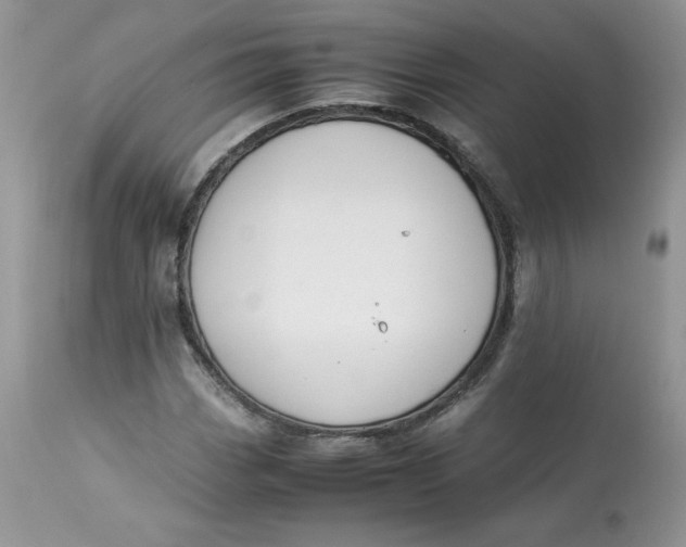 X0000112851113200909111439