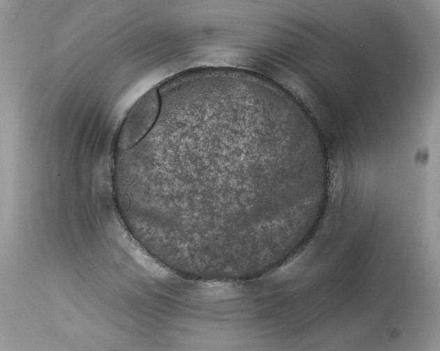 X0000112851114200909111439