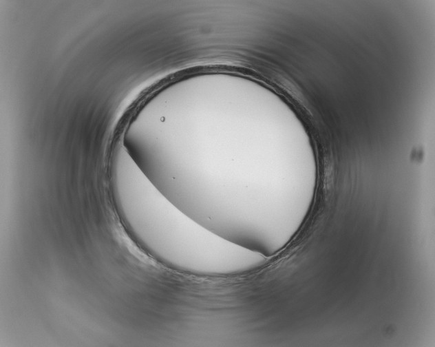 X0000112851116200909111439