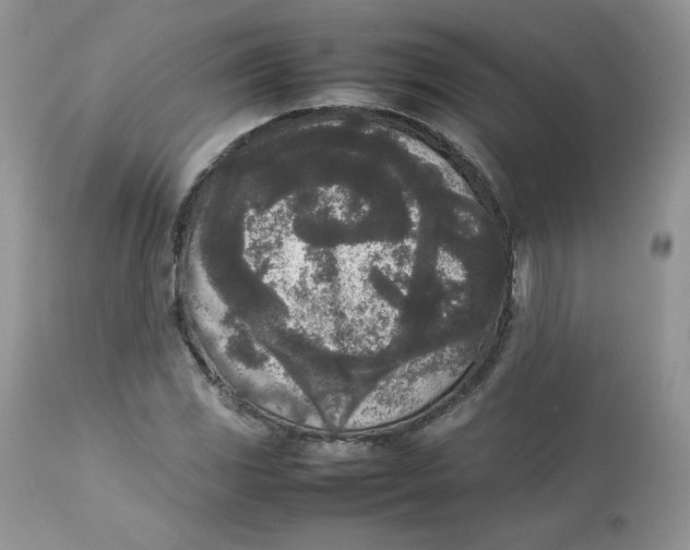 X0000112851117200909111439