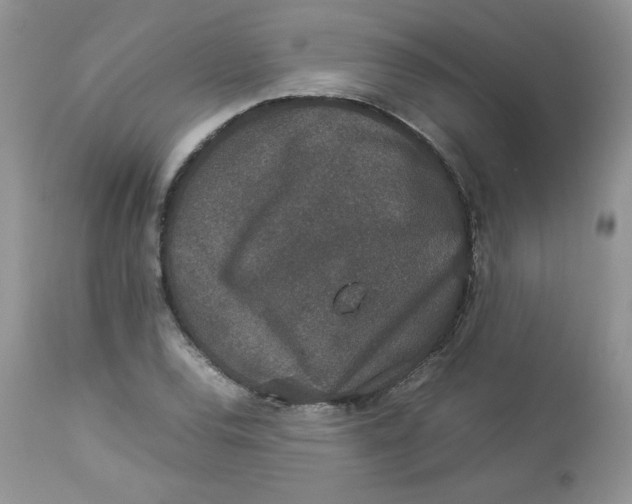 X0000112851120200909111439