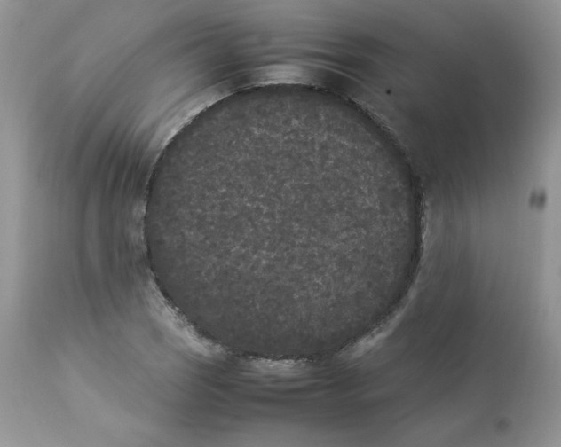 X0000112851121200909111439