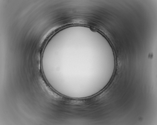 X0000112851123200909111439