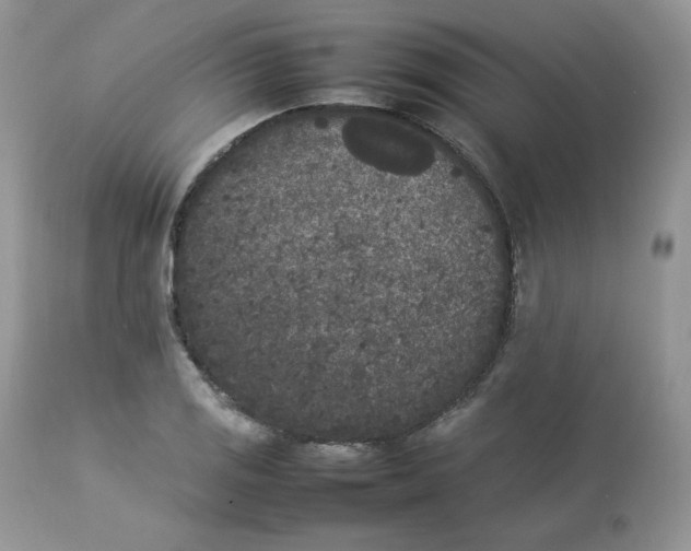 X0000112851125200909111439