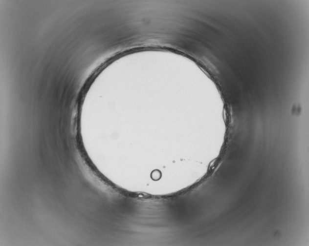 X0000112851126200909111439