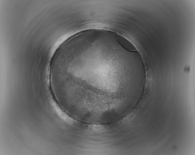 X0000112851128200909111439