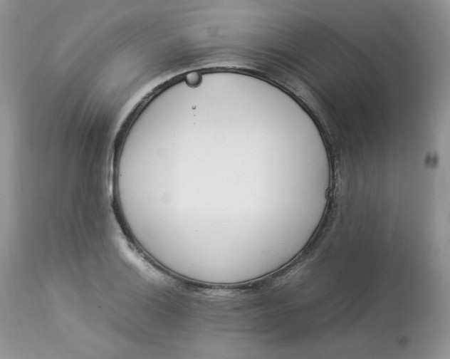 X0000112851132200909111439