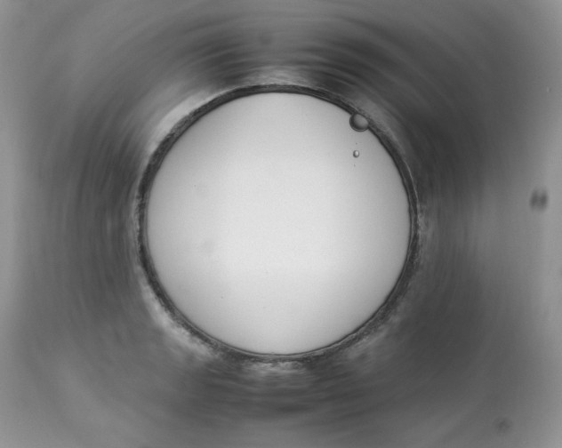 X0000112851133200909111439