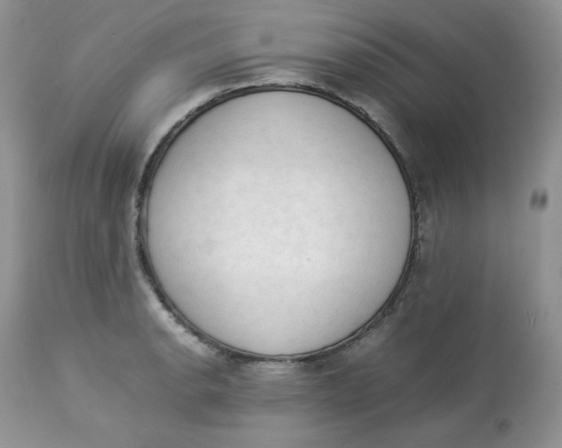 X0000112851134200909111439