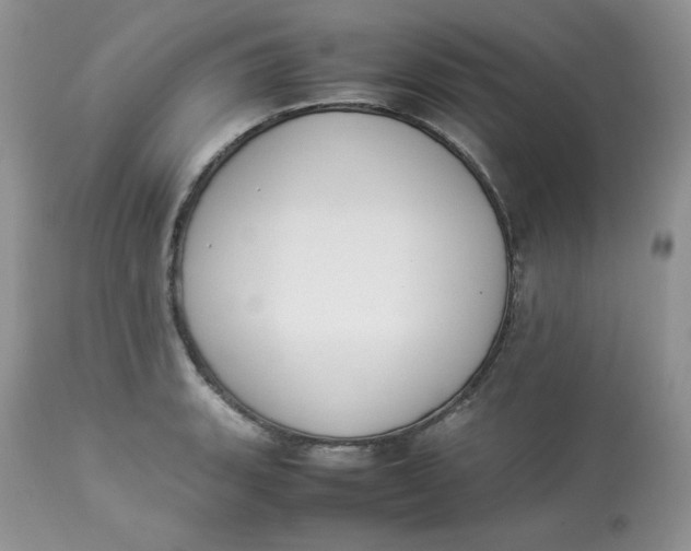 X0000112851135200909111439