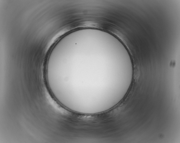 X0000112851139200909111439