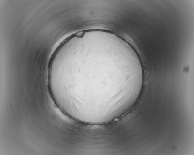 X0000112851140200909111439