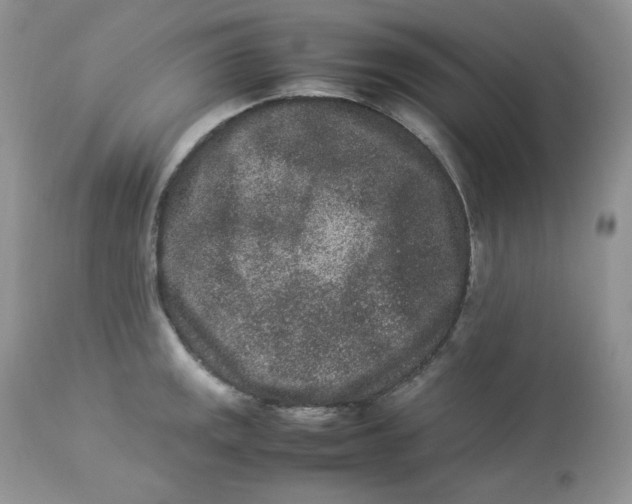 X0000112851141200909111439