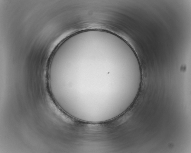 X0000112851142200909111439