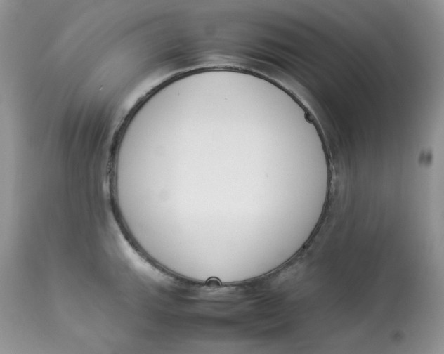 X0000112851143200909111439