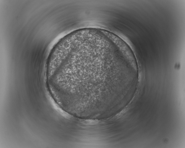 X0000112851144200909111439