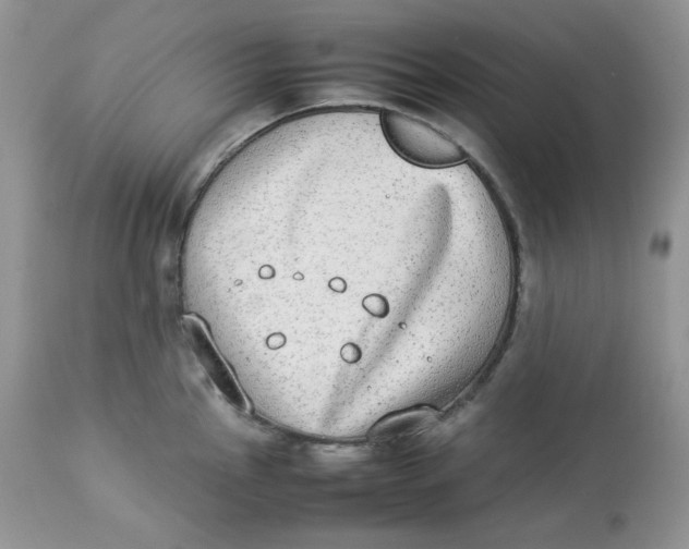 X0000112851145200909111439