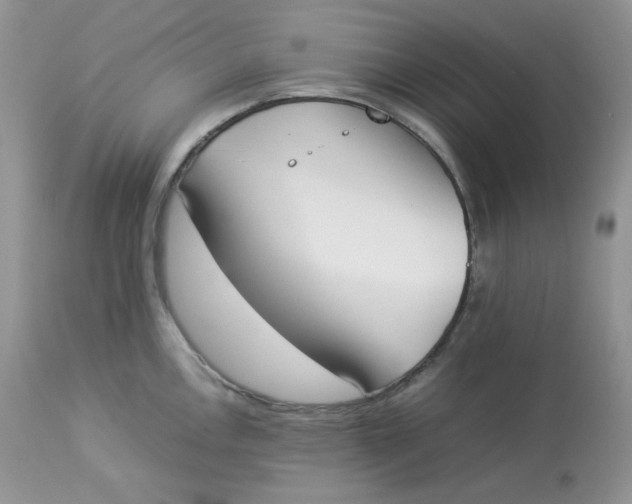 X0000112851146200909111439