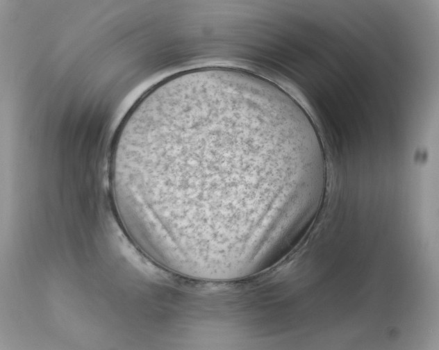 X0000112851148200909111439