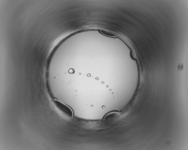 X0000112851149200909111439