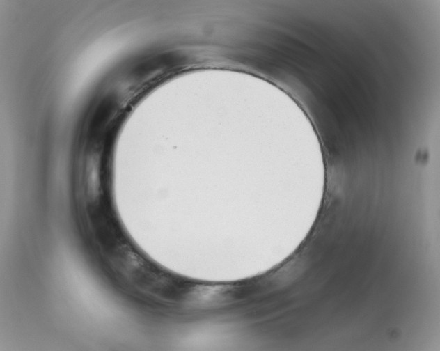 X0000112851150200909111439