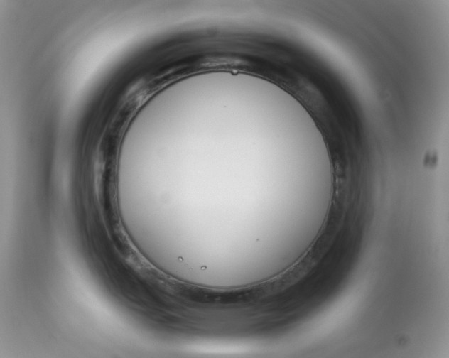 X0000112851151200909111439